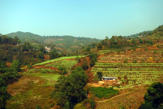 Balcony view from our room.
