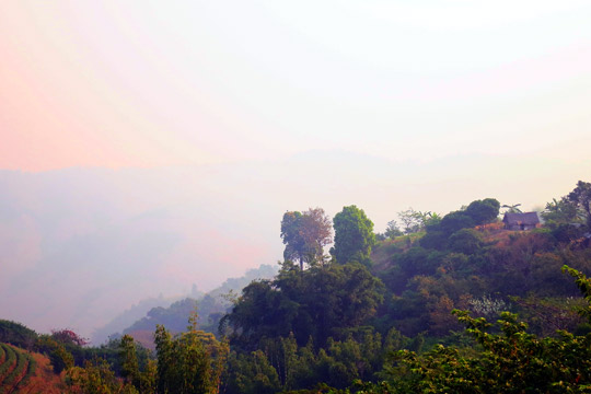 Doi Mae Salong house with a view.