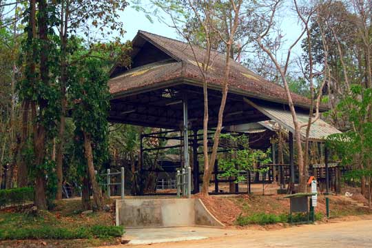 Elephant hospital infirmary enclosure.