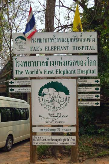 FAE Elephant Hospital