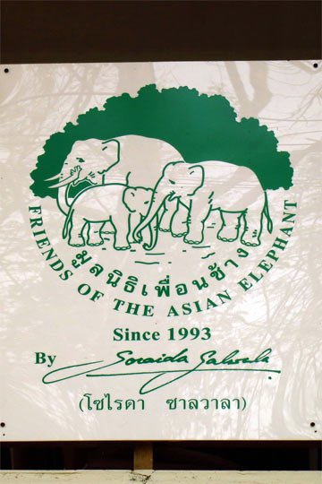Friends of the Asian Elephant