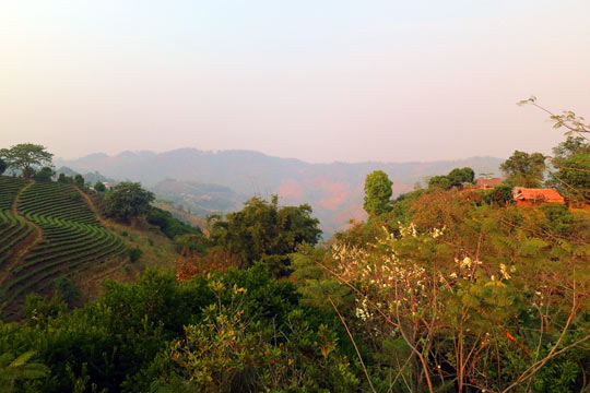 View from the Mae Salong Flower Hills Resort.