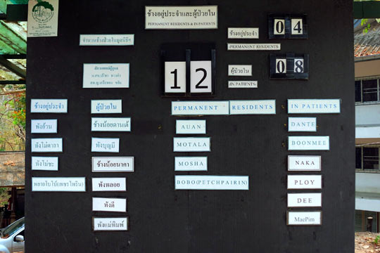 List of Resident and Patient Elephants.