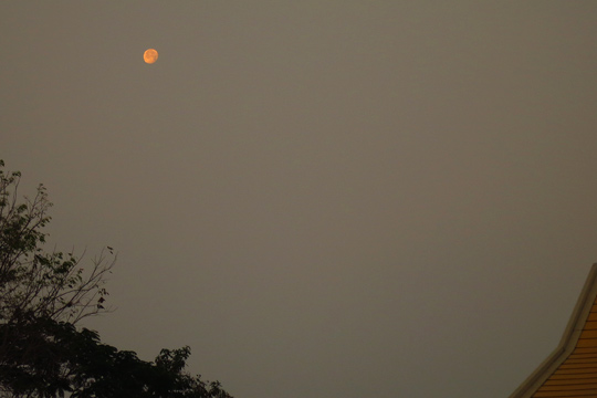 Moon over Sukhothai Bus Station.