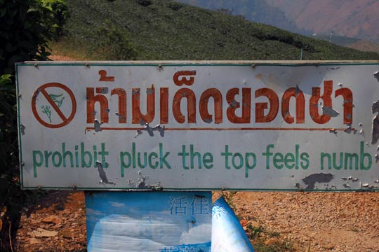 Hard to understand sign at the 101 Tea Plantation.