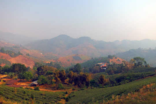 Smoky haze over Santikhiri.