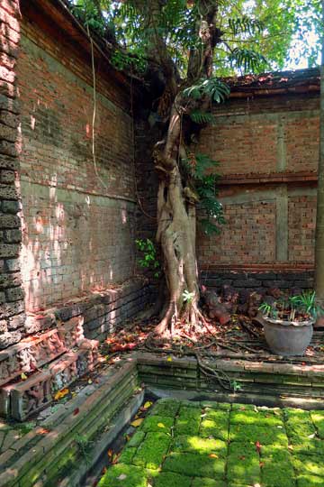 Terracotta and green moss - Mar 9, 2014