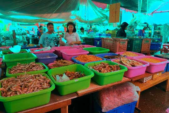 A variety of dried mystery-foods.