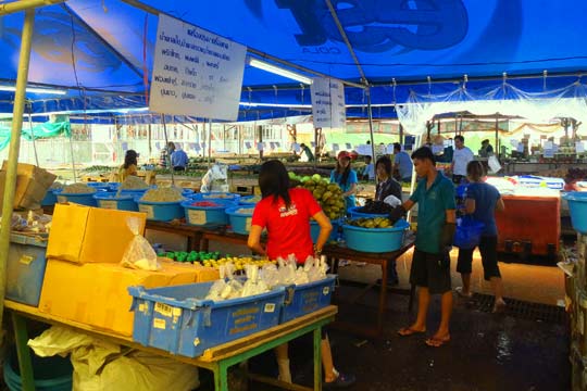 Preserved vegetables… we think.