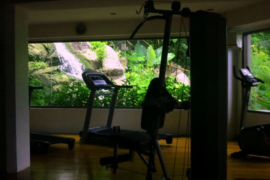 That's not a poster on the gym wall; it's a view of the water feature through the window.