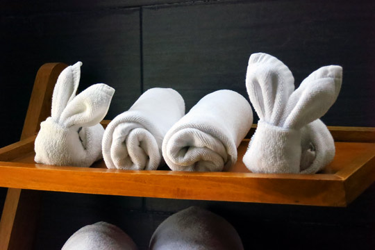 And we even got Bath-Bunny towel-art.