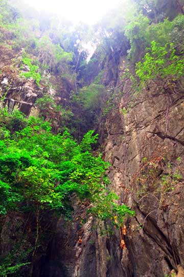 Sheer rock faces with lush vegetation.