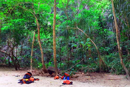 Jungle begins just past the beach.