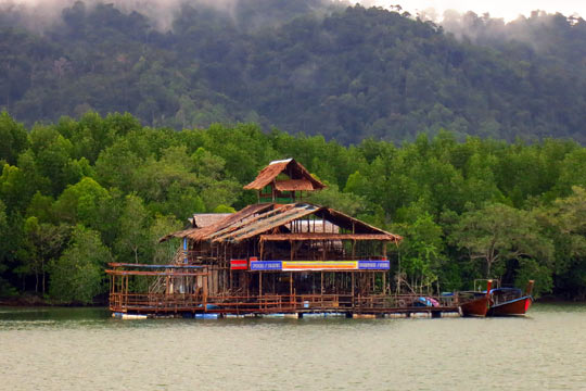 Home-stay guesthouse in the mangrove swamps.